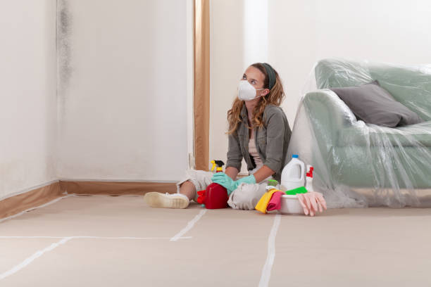 Reliable Mold Cleanup contractor in Smithfield, NC by Cheap Mold Removal